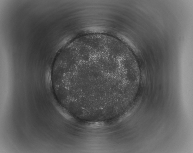 X0000111830398200908201155