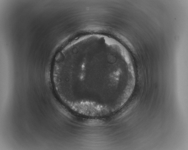 X0000111830399200908201155