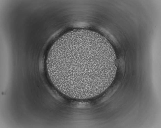 X0000111830400200908201155