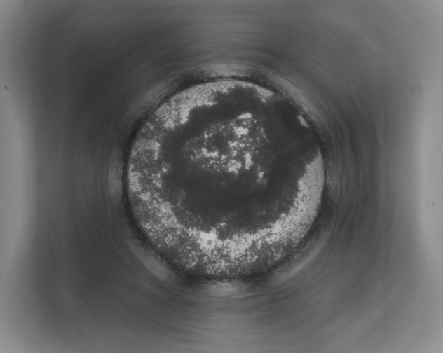 X0000111830402200908201155