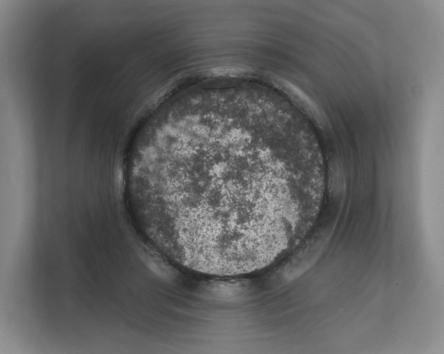 X0000111830405200908201155