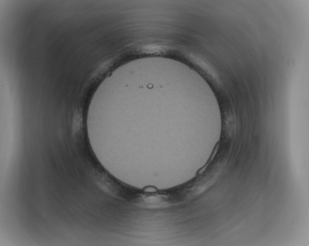 X0000111830407200908201155