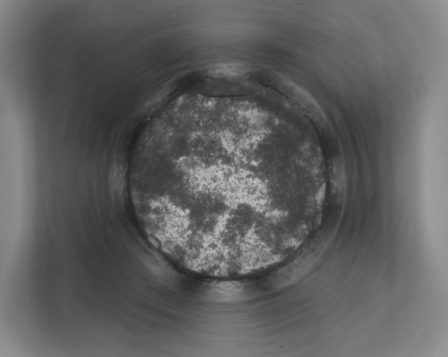 X0000111830409200908201155