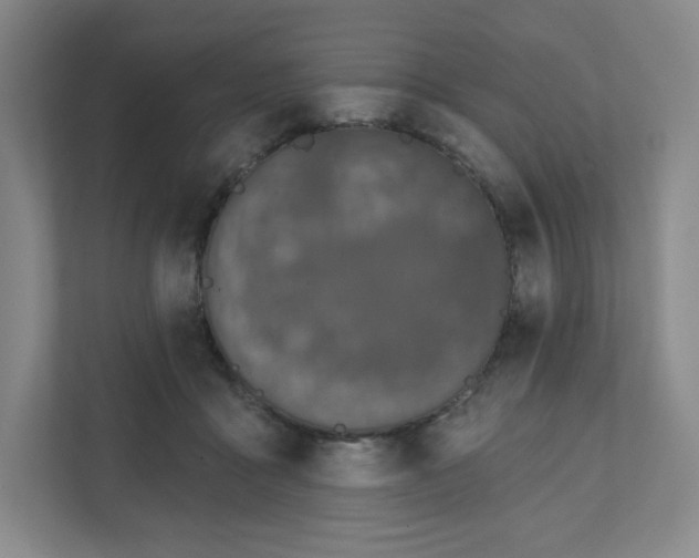 X0000111830411200908201155