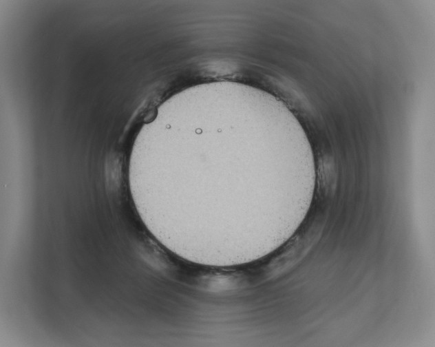 X0000111830412200908201155