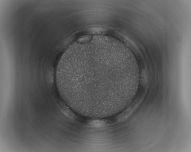 X0000111830413200908201155