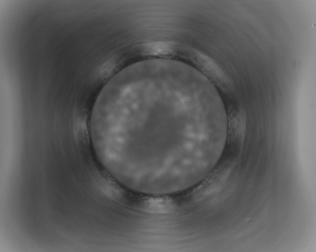 X0000111830415200908201155