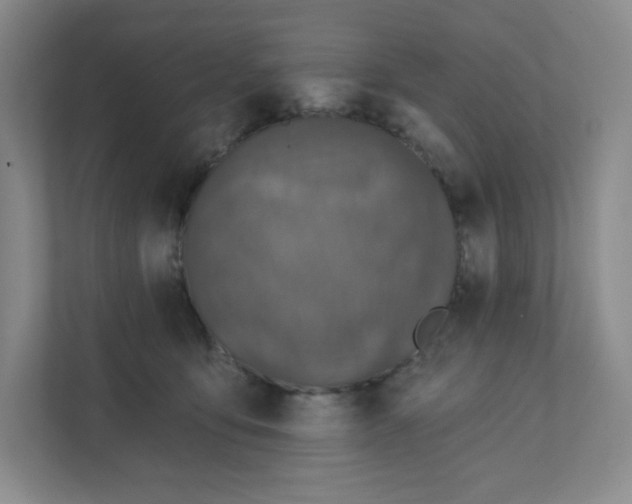 X0000111830419200908201155