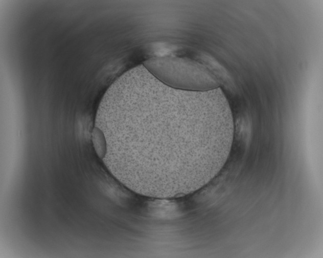 X0000111830421200908201155