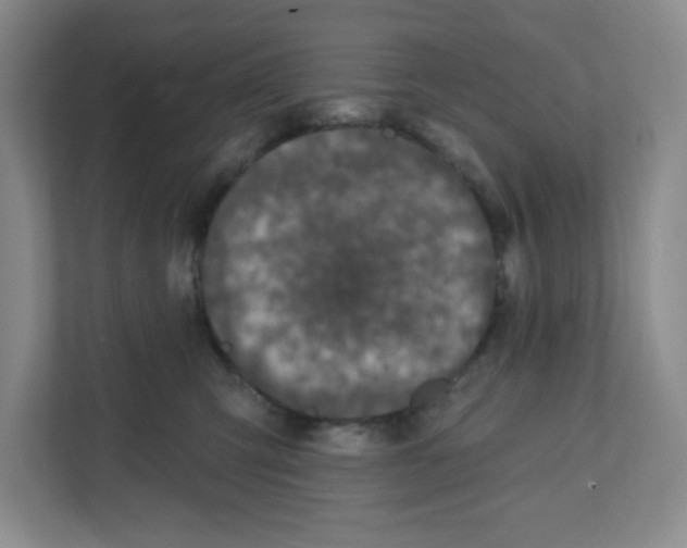 X0000111830423200908201155