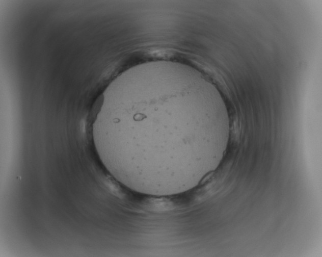 X0000111830424200908201155