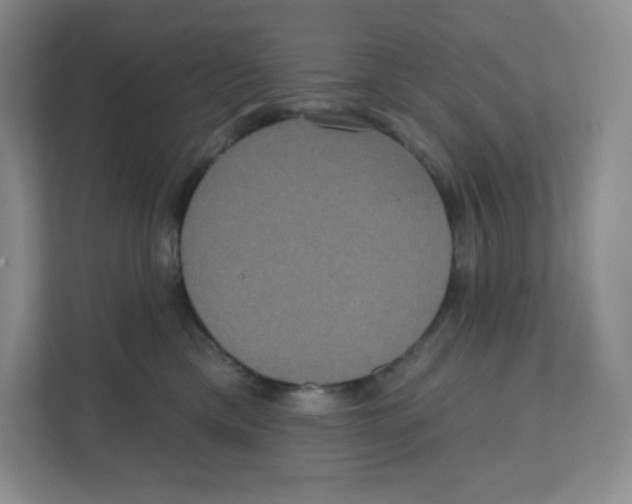 X0000111830425200908201155