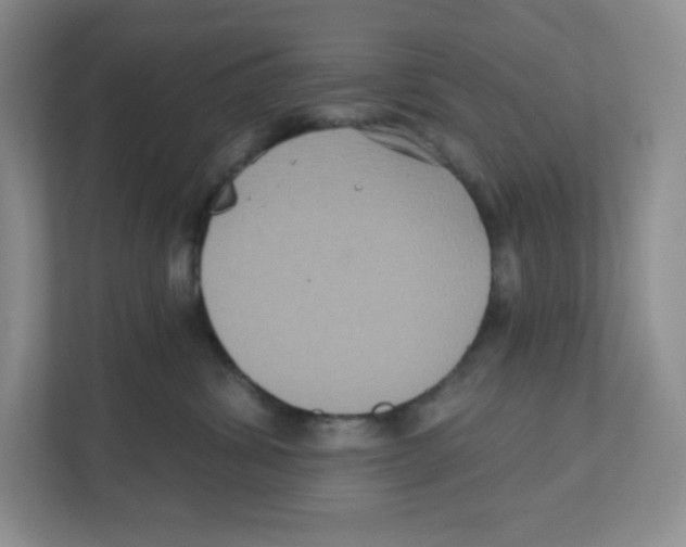 X0000111830428200908201155