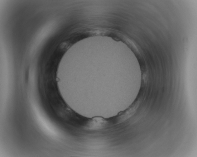 X0000111830429200908201155