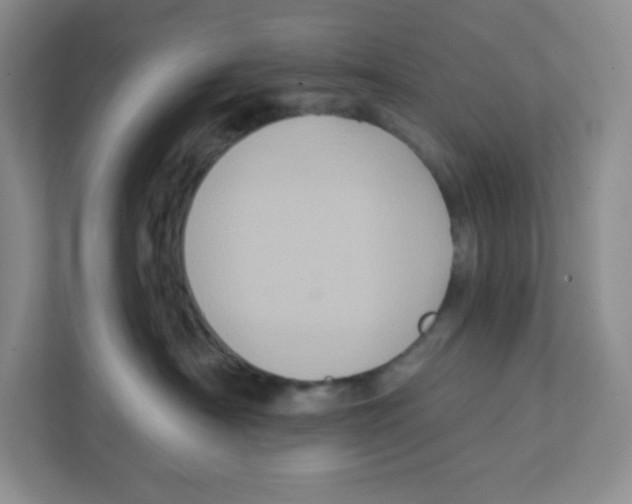 X0000111830430200908201155