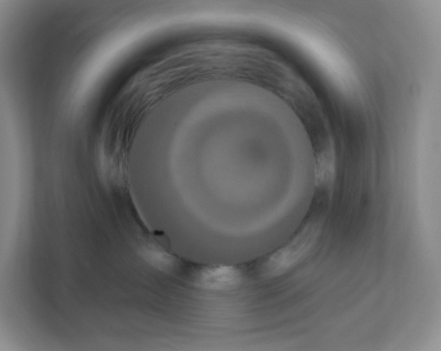 X0000111830431200908201155