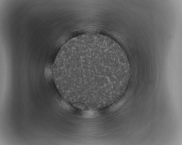 X0000111830432200908201155