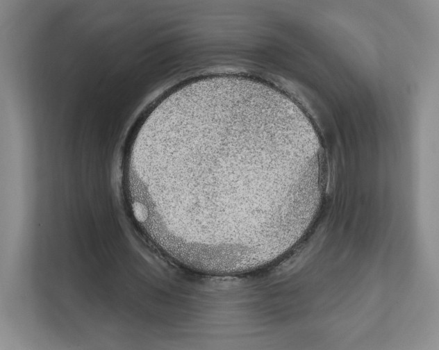 X0000111830435200908201154