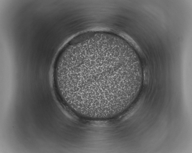 X0000111830436200908201154