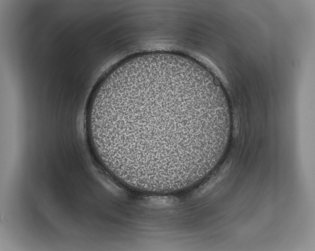 X0000111830439200908201154