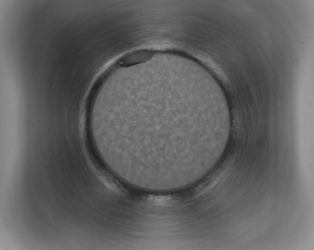 X0000111830440200908201154