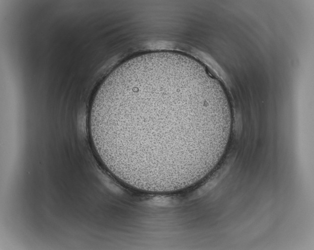 X0000111830441200908201154