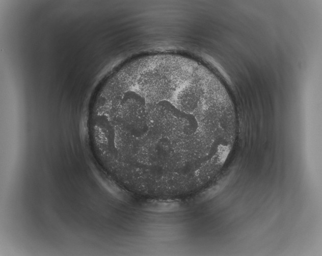 X0000111830443200908201154