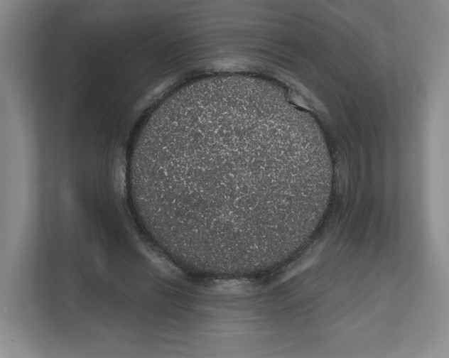 X0000111830446200908201154