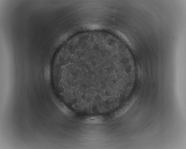 X0000111830447200908201154