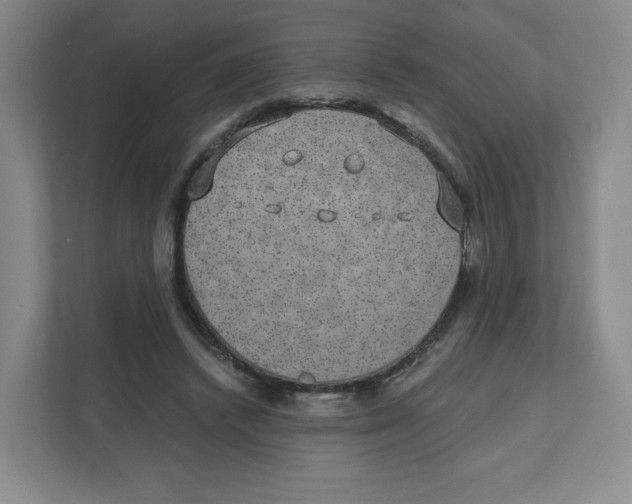 X0000111830448200908201154