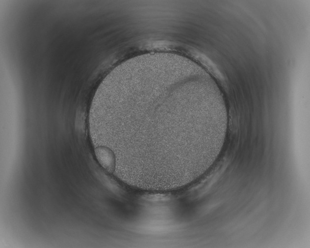 X0000111830449200908201154