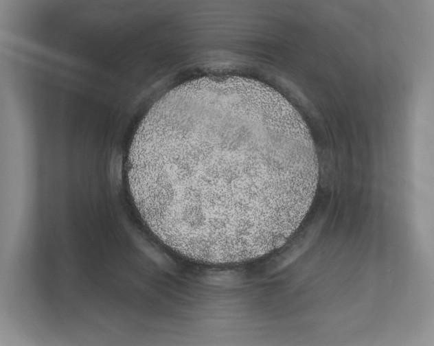 X0000111830454200908201154