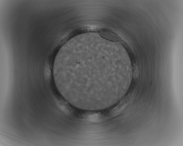 X0000111830456200908201154