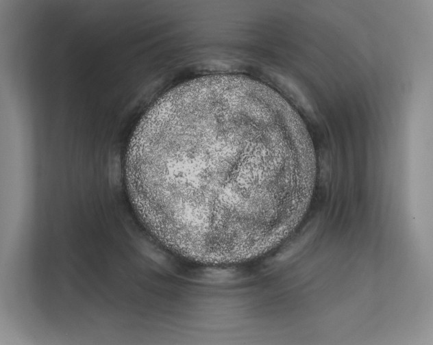 X0000111830457200908201154