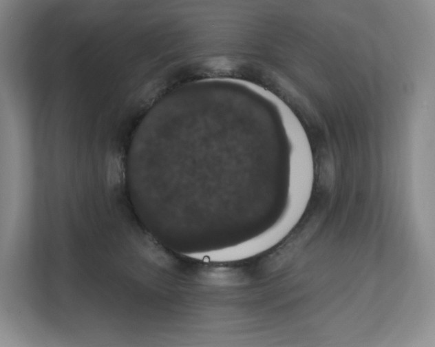 X0000111830467200908201154