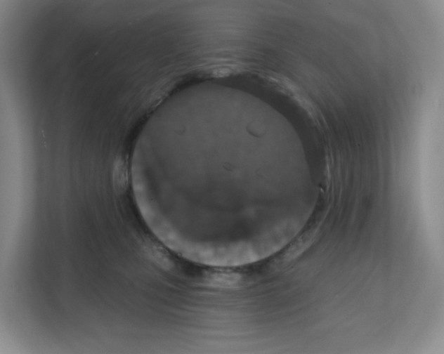 X0000111830471200908201154