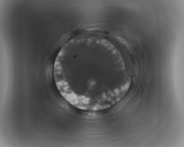 X0000111830475200908201155