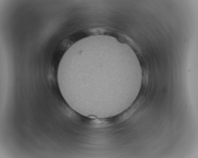 X0000111830477200908201155