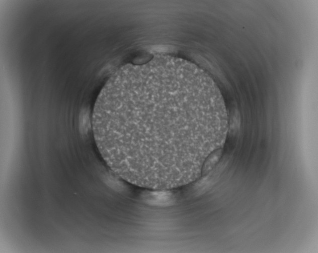 X0000111830478200908201155