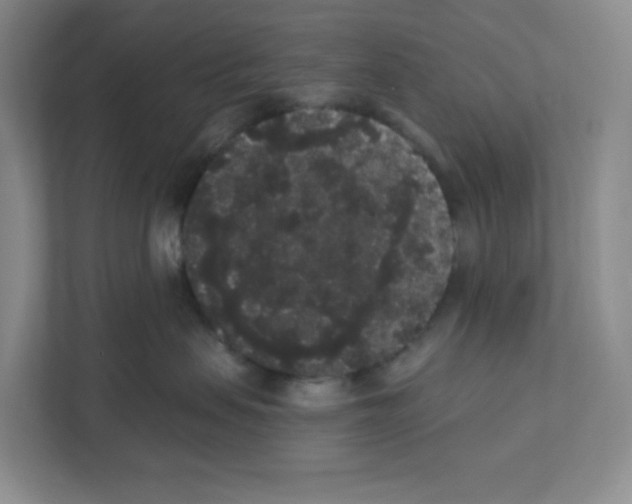 X0000111830479200908201155