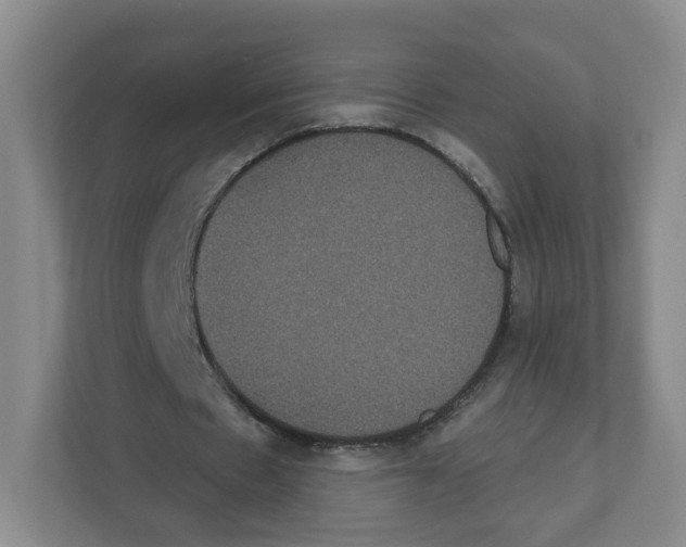 X0000111830481200908201154