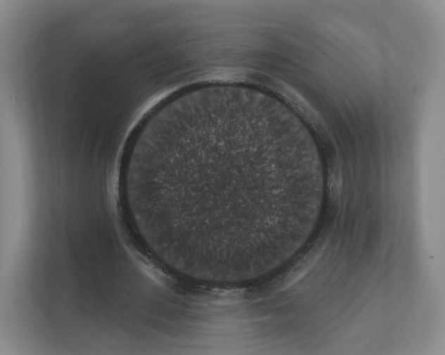 X0000111830484200908201154