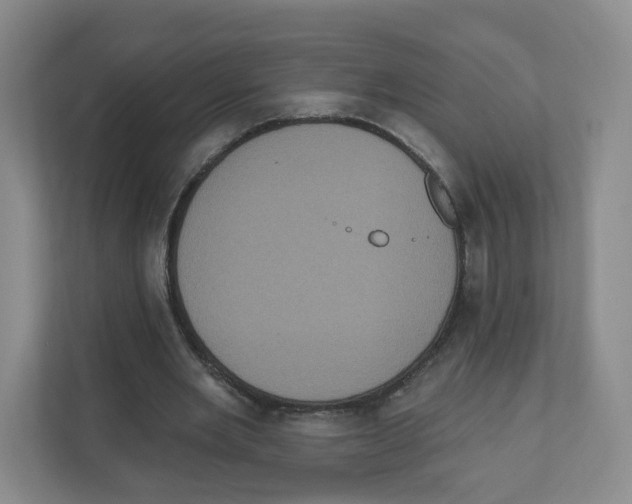 X0000111830485200908201154