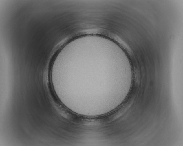 X0000111830486200908201154