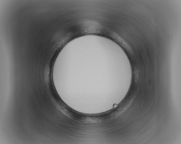 X0000111830490200908201154