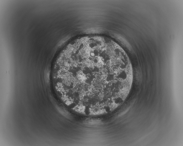 X0000111830491200908201154