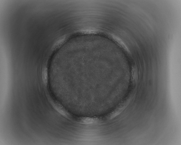 X0000111830494200908201154