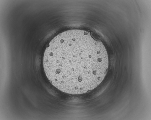 X0000111830495200908201154