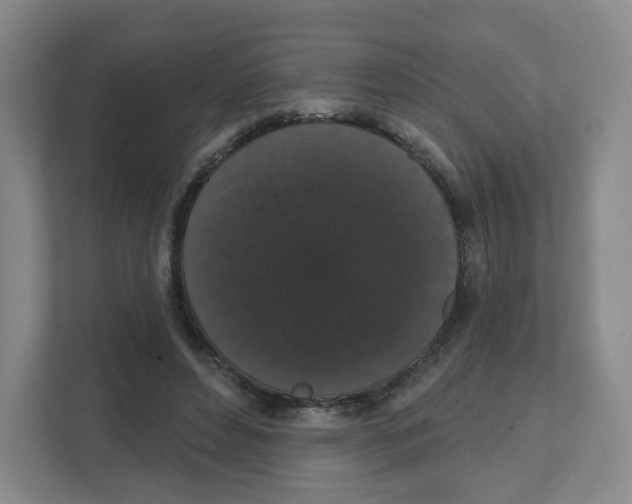 X0000111830496200908201154