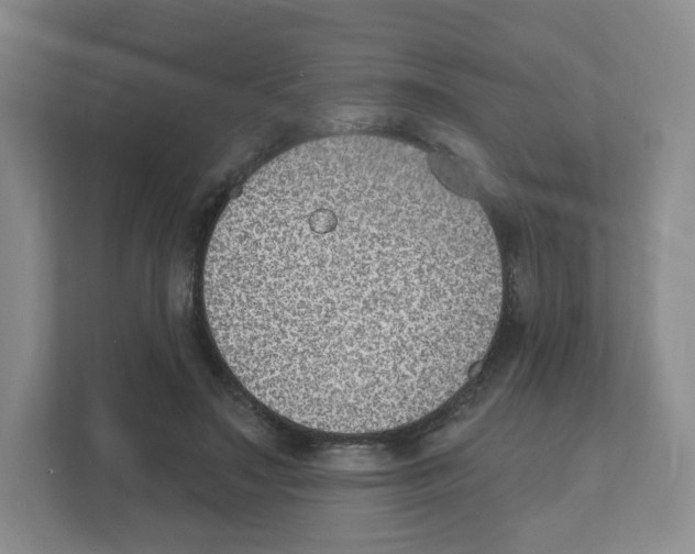 X0000111830499200908201154